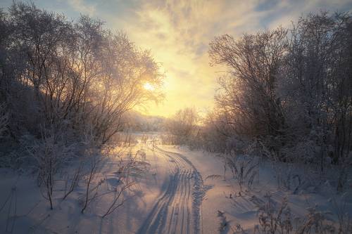 Frozen sunlight