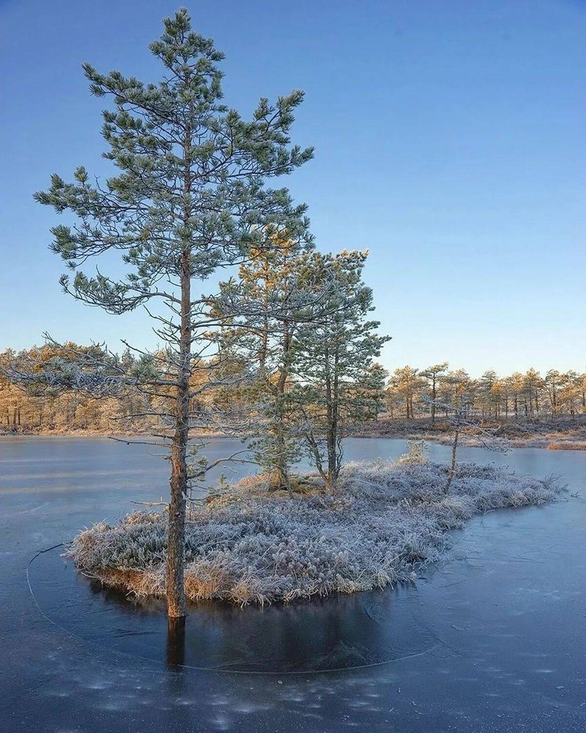 , Петр Косых