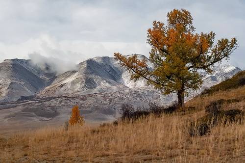 Алтайская осень