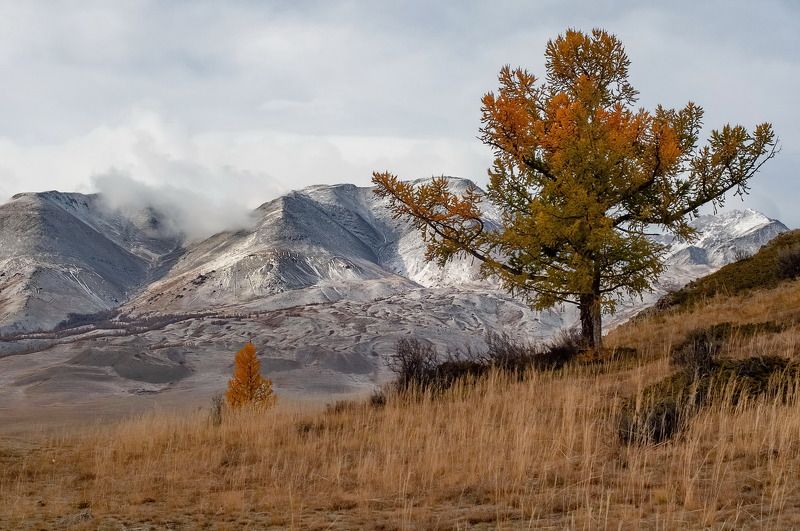 Алтайская осень фото превью