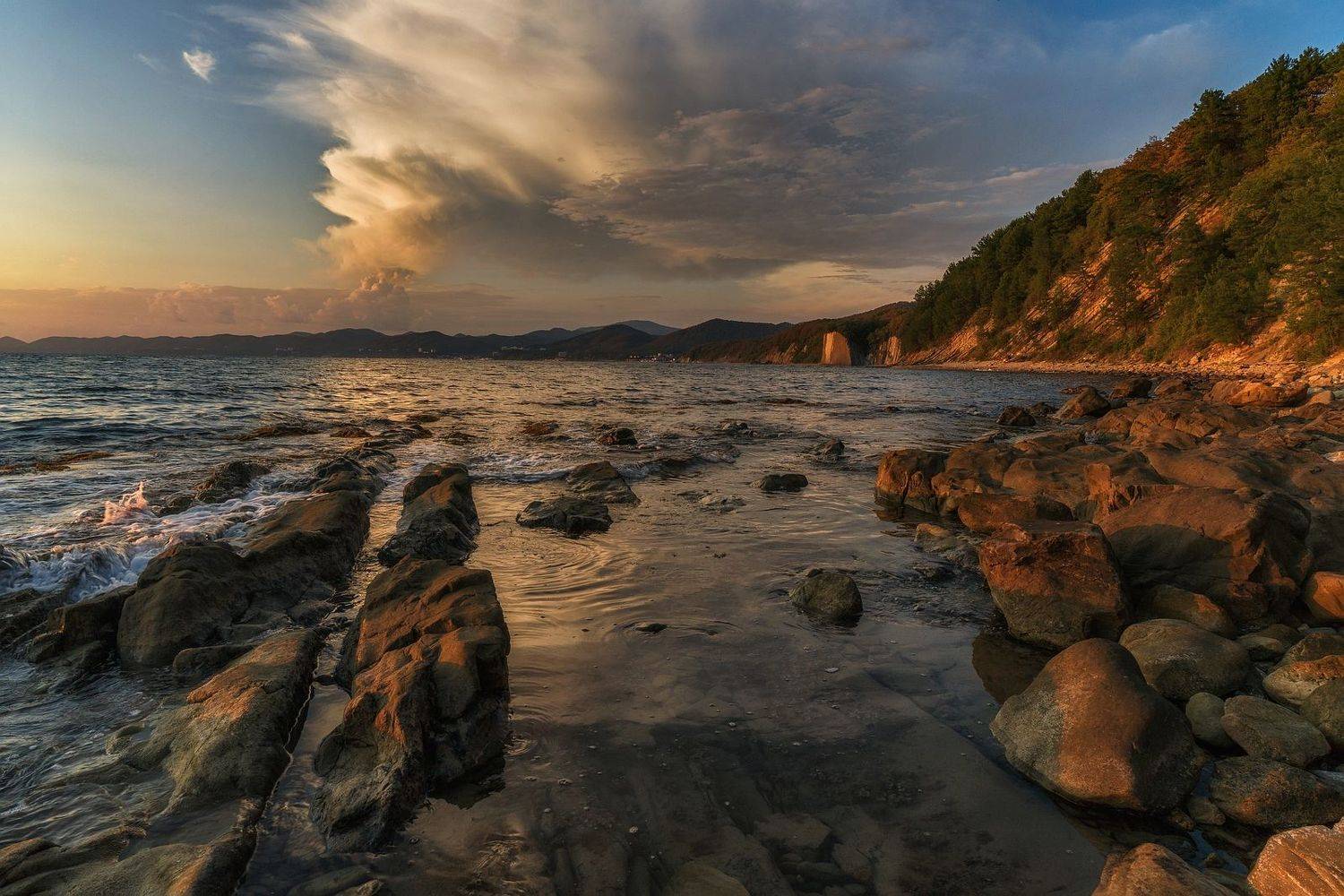 , Васин Сергей