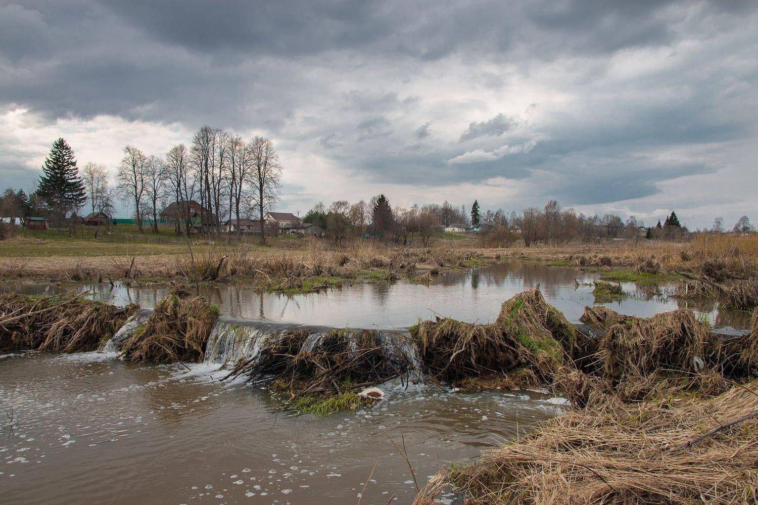 ,  Александр