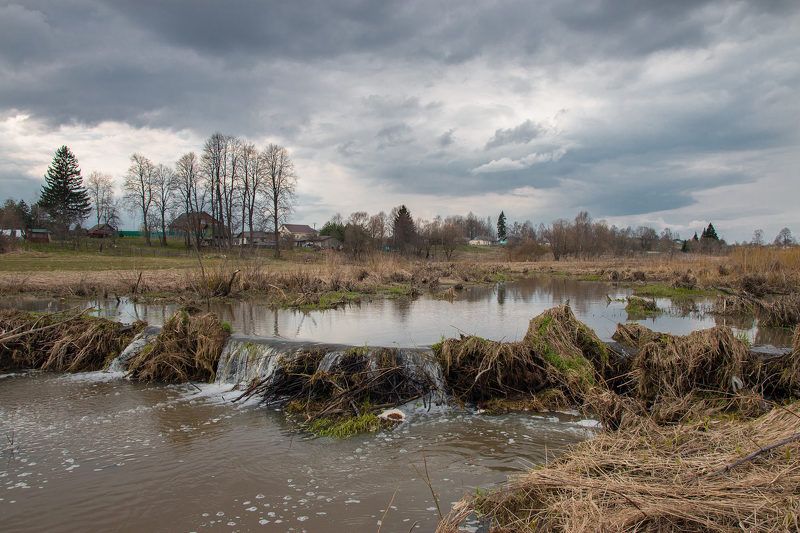 В гости к бобрам фото превью