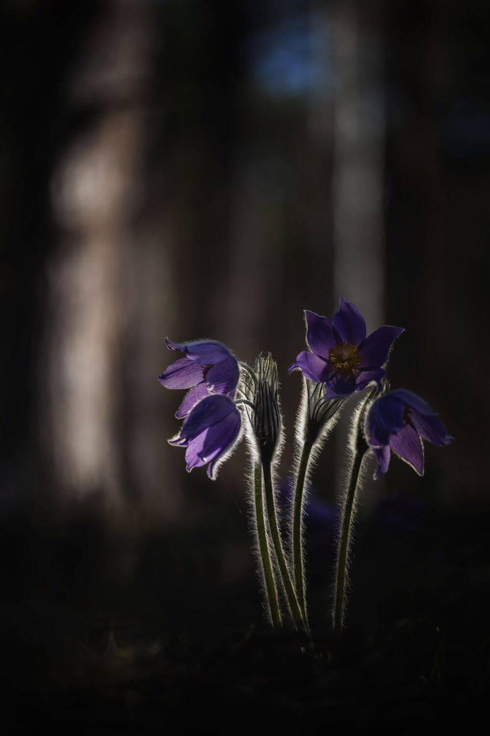 , Кузнецов Дмитрий