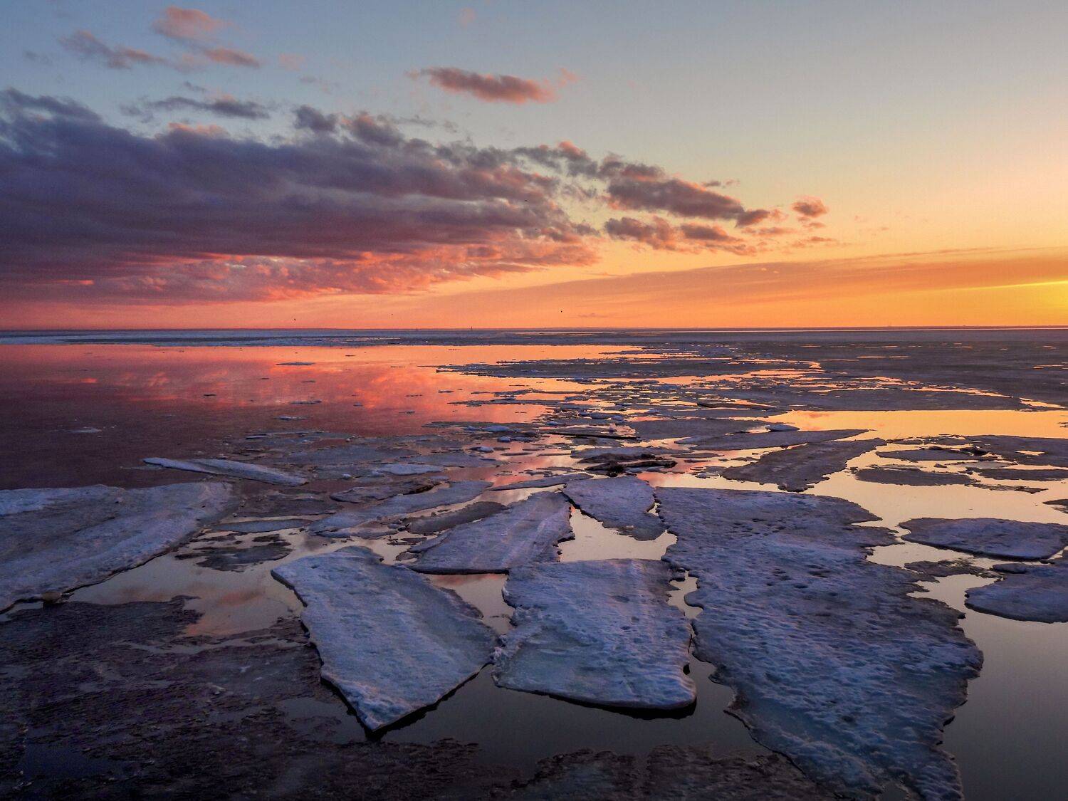 , Лесина Елена