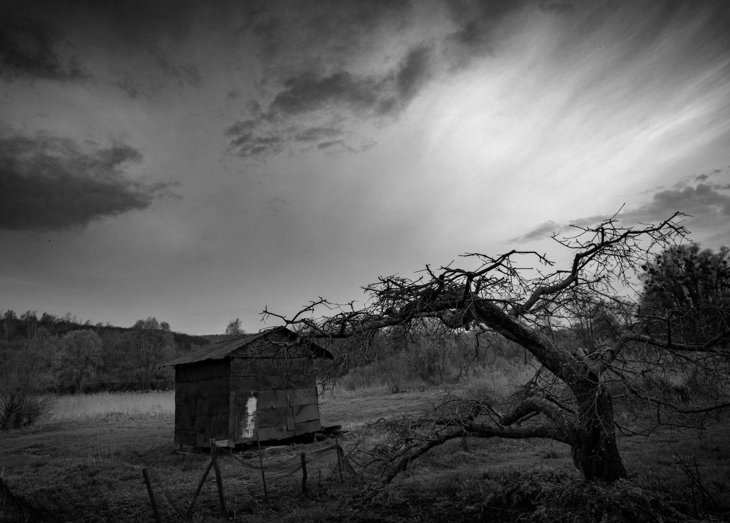 , Чистаев Александр