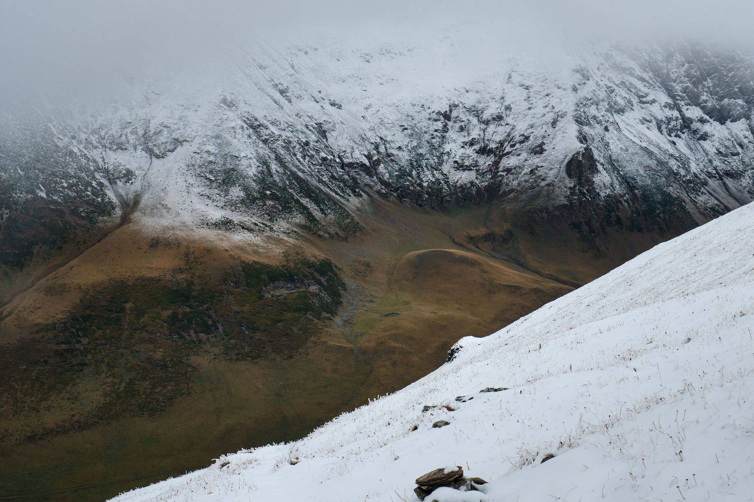 горы, снег, лес, Елена Шевченко