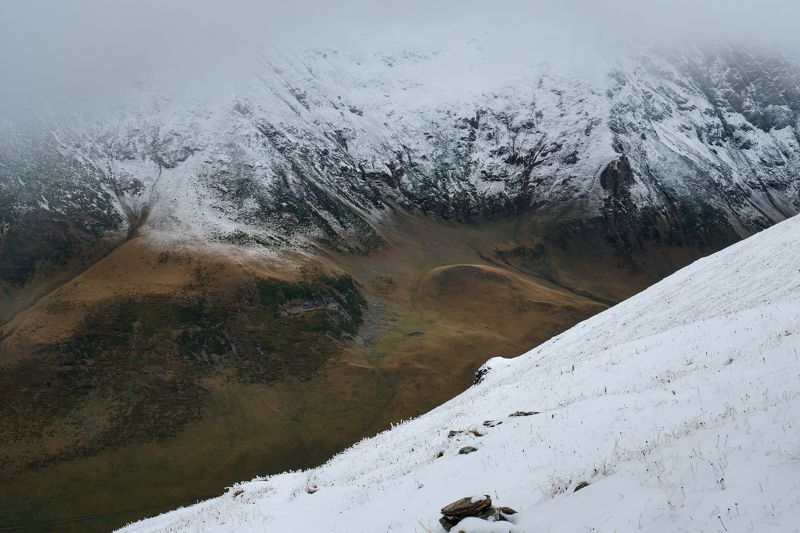горы, снег, лес Граница снега 2 фото превью