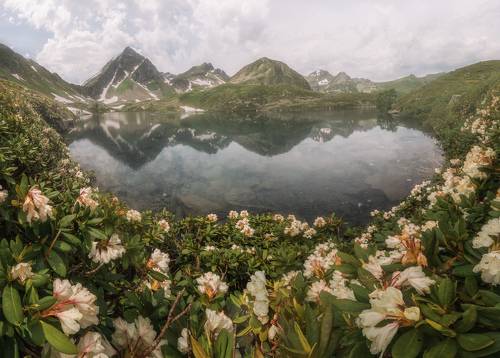 Хребет Аркасара