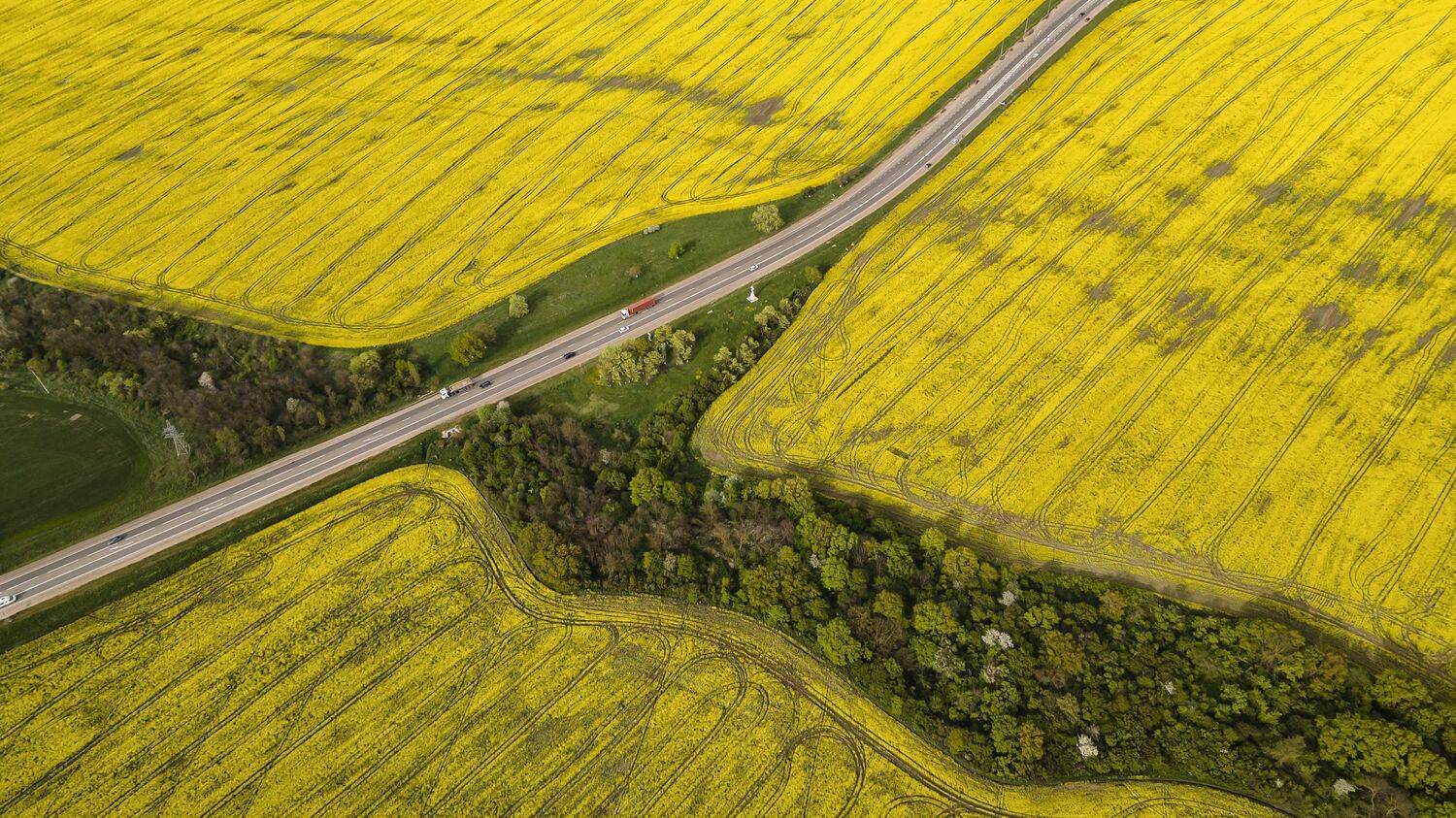 , Павел Сагайдак