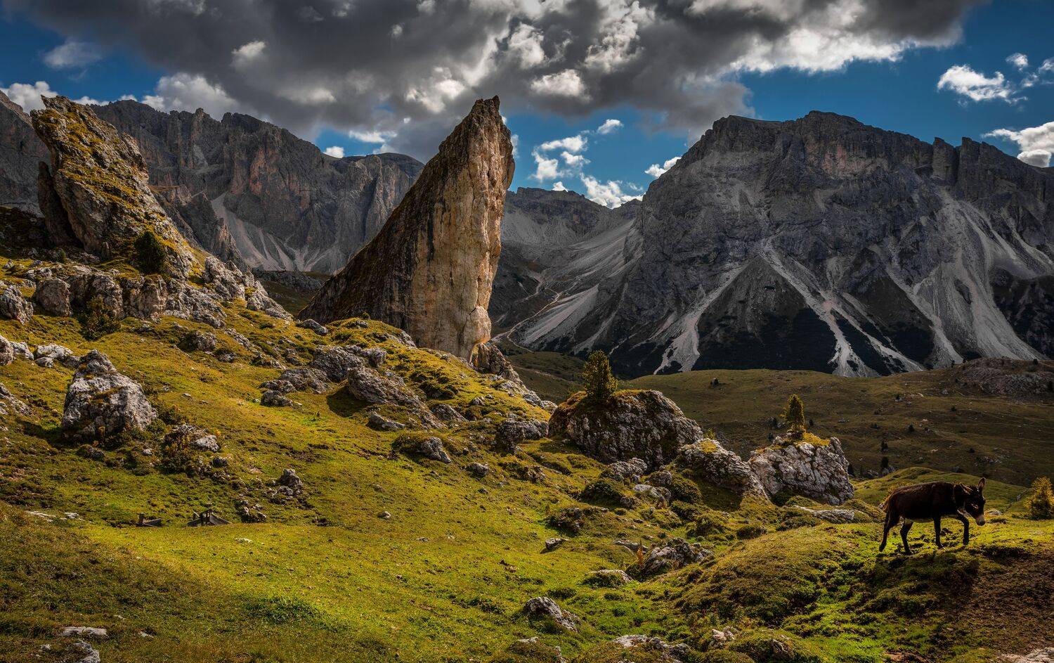 , Александр Безмолитвенный