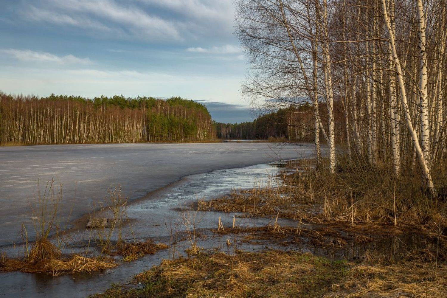 апрель утро лед отражение черная порза, Дмитрий Алексеев