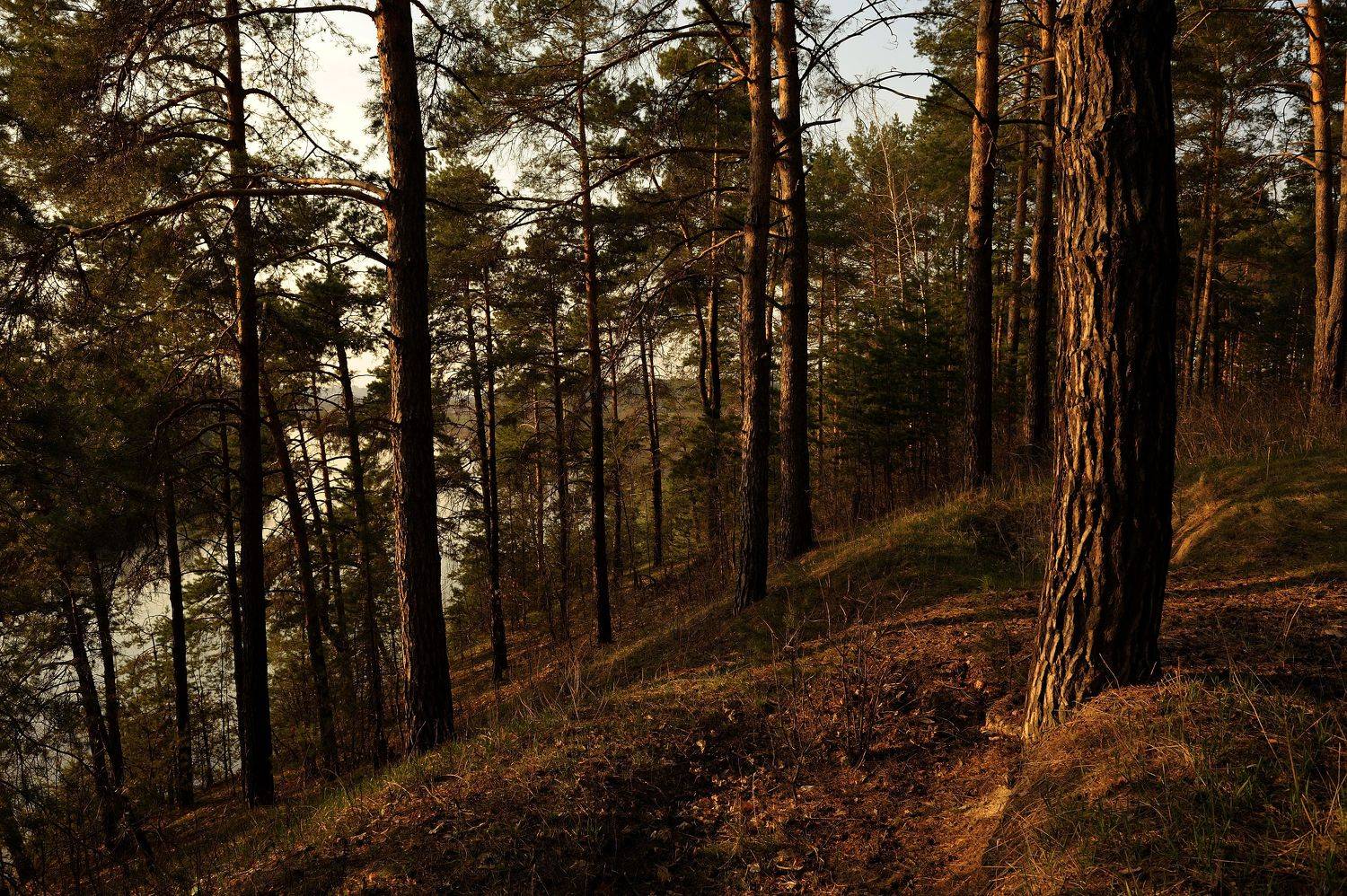 , Андрей Балабин