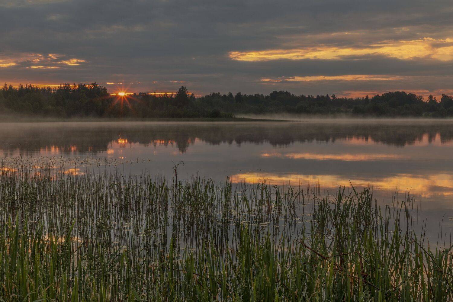 Тверская область, Гусева Елена