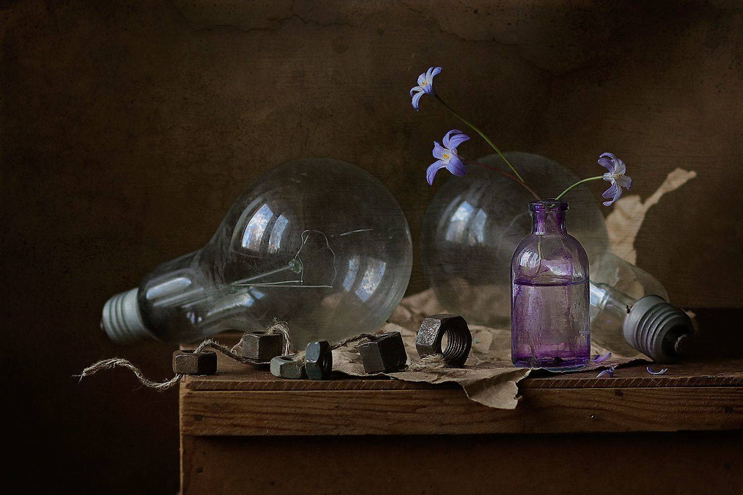 , Светлана Дерябина