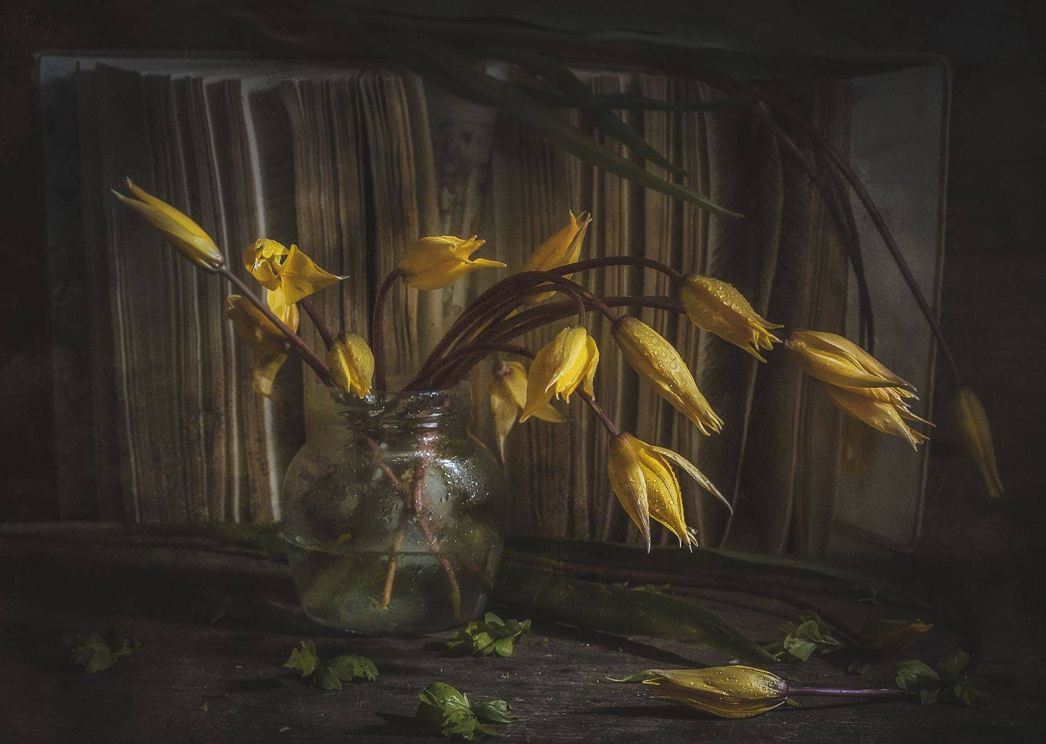 весна,тюльпаны,нежность, Володин Владимир Владимирович