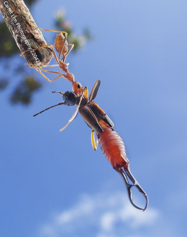 I Win! You Lose! фото превью