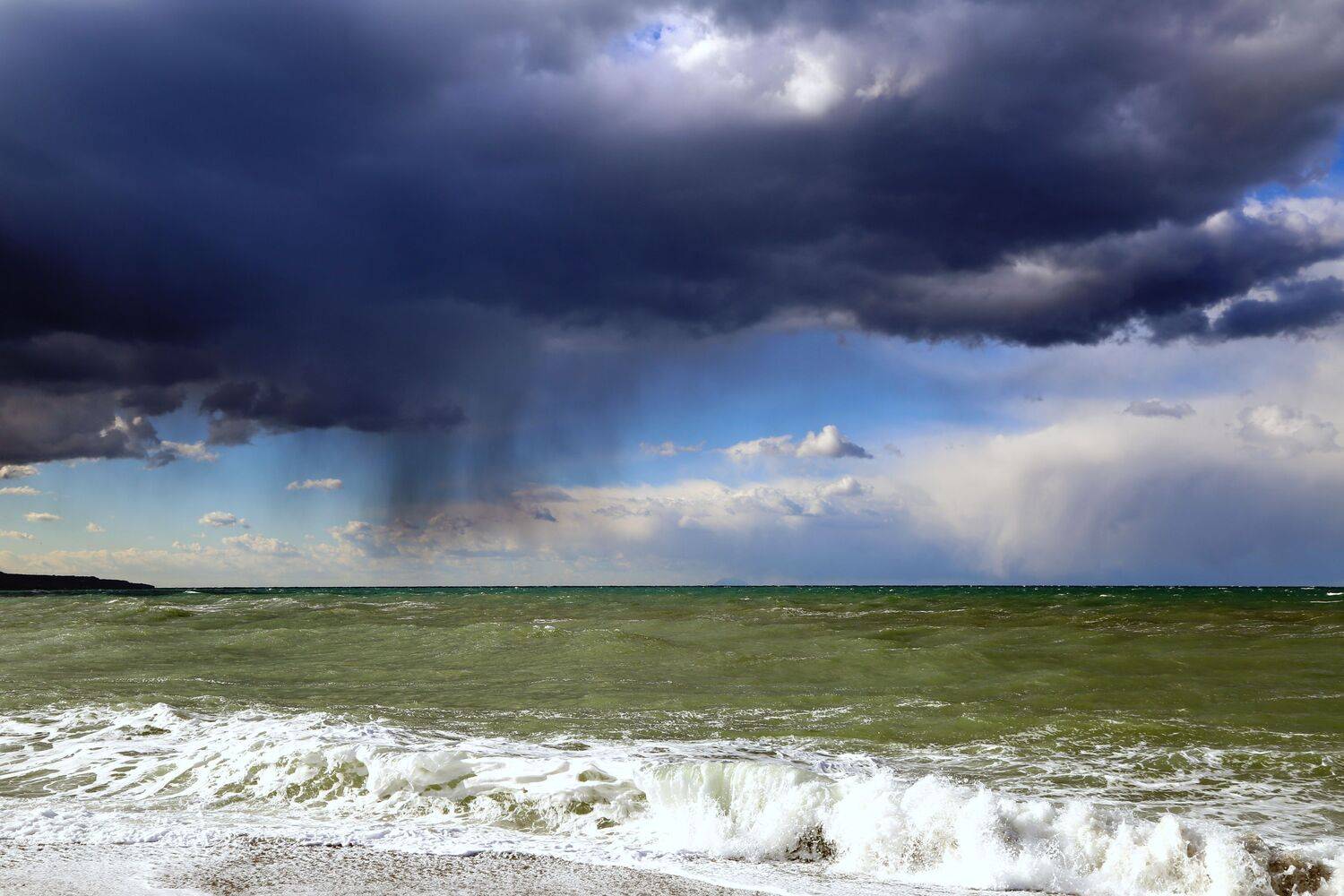 , Александр Шандов