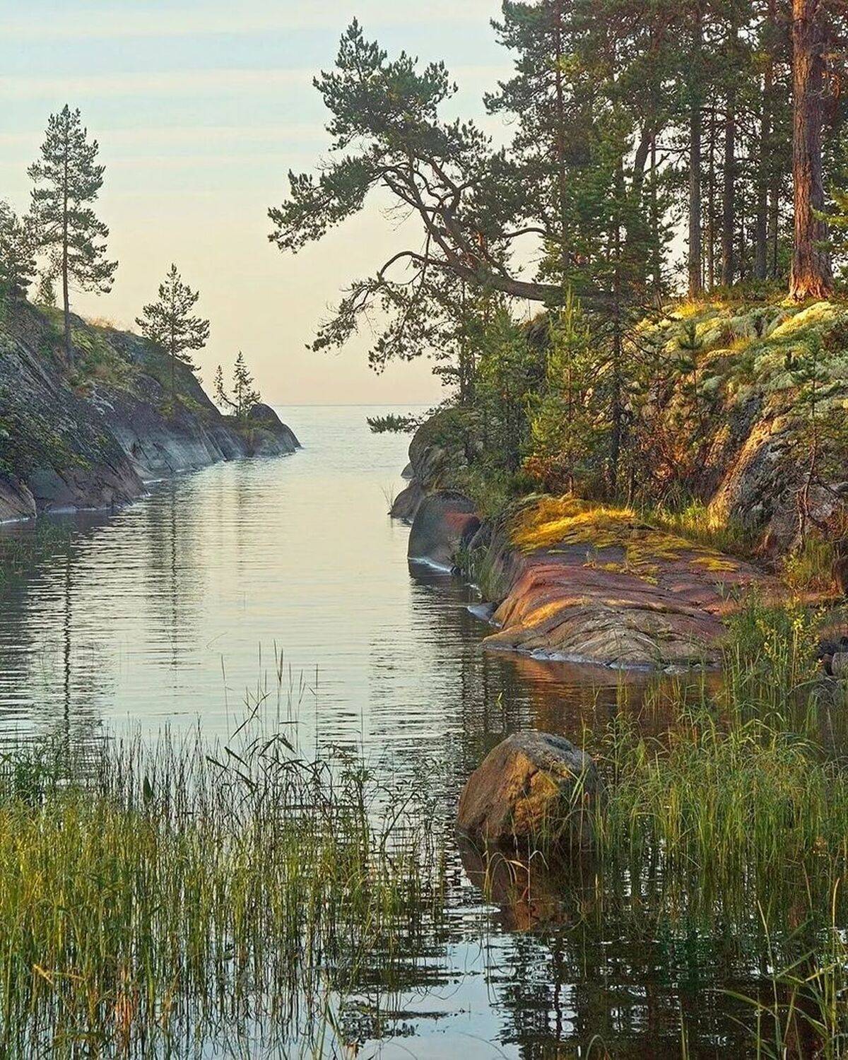 , Петр Косых