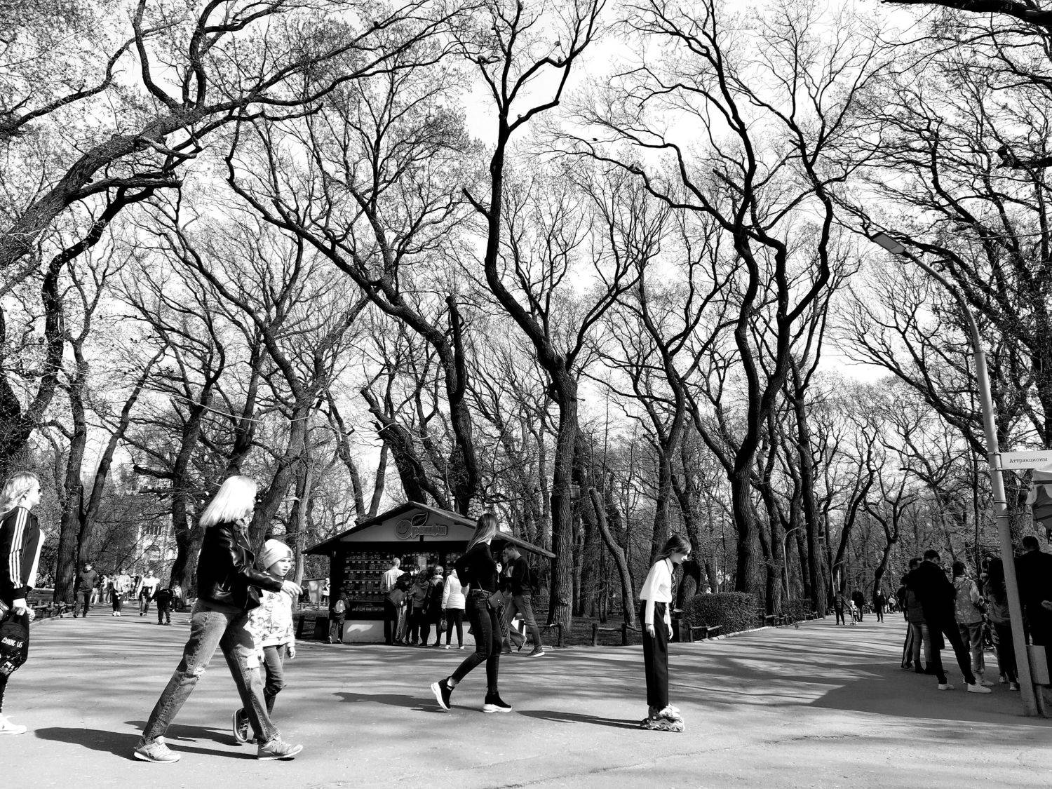 sunday in the park, park, sunday, городской пейзаж, стрит, b&w, жанр, стрит/репортаж, Karina Yakovleva