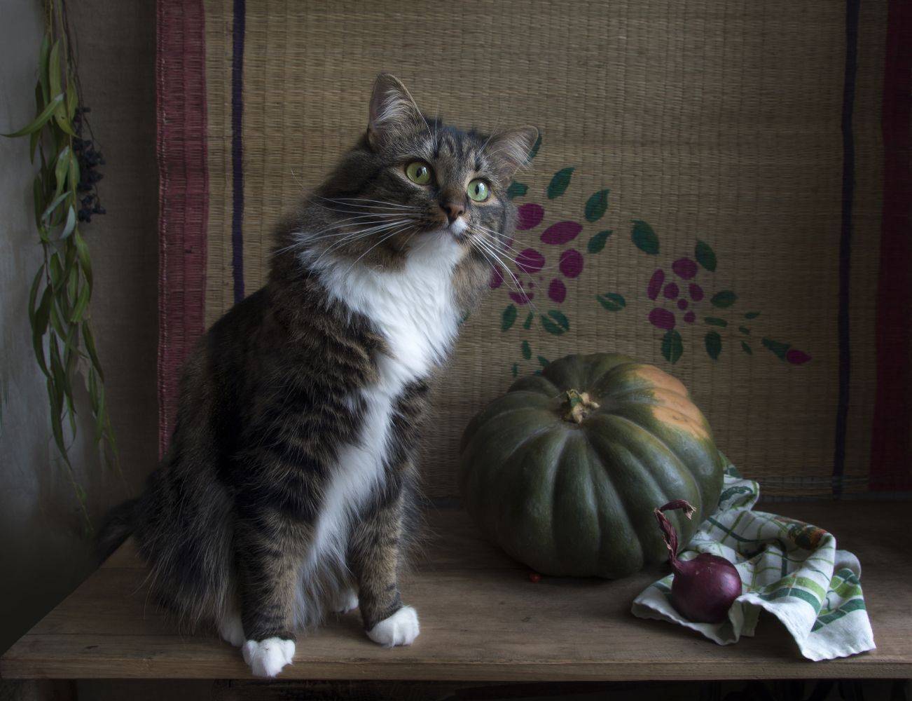 кот, тыква, Колеснева Елена