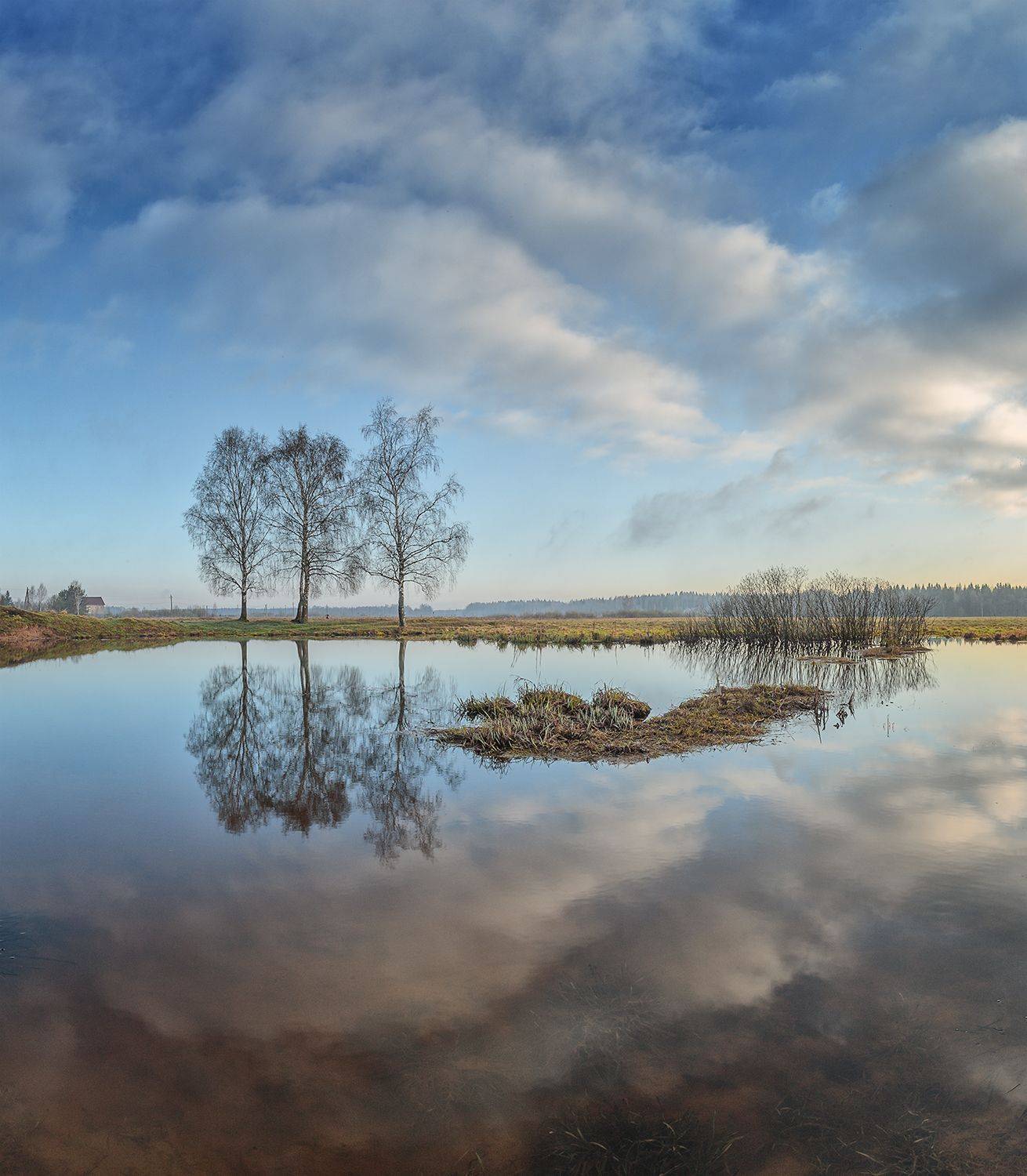 , Николай Андреев