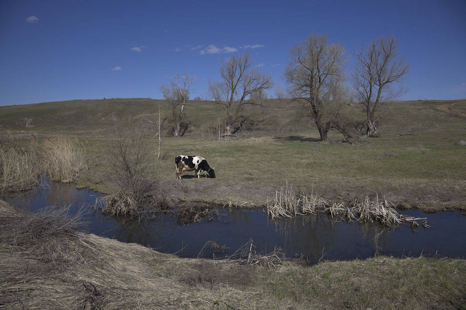 весна деревня, Виктор Кириллов