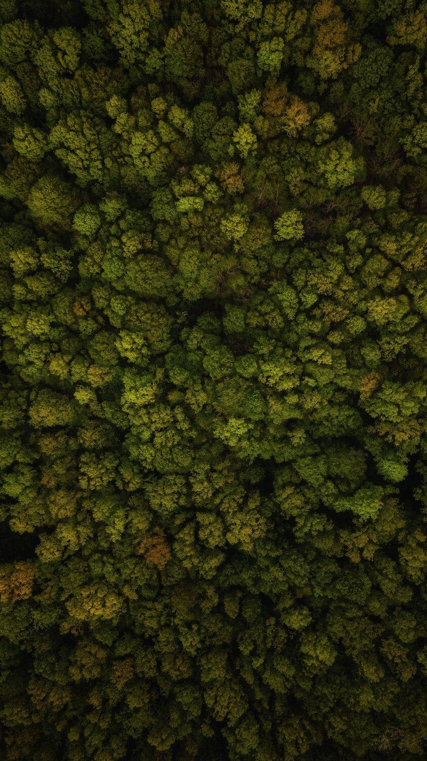 , Павел Сагайдак