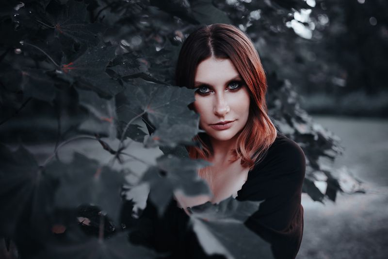 фото превью