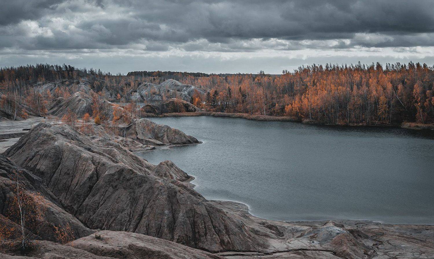 , Анатолий Зверев