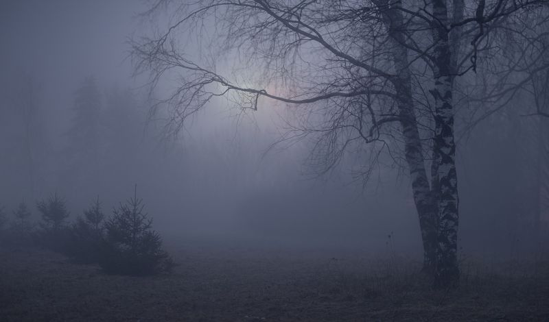 Ночной туман фото превью