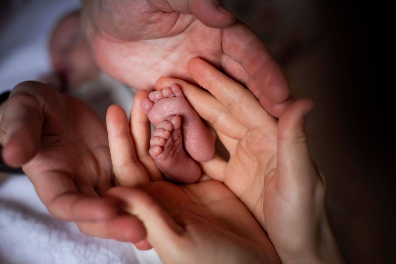 дети, новорожденные, семья, любовь, счастье, выписка, newborn, family, familyphoto, Екатерина Часова