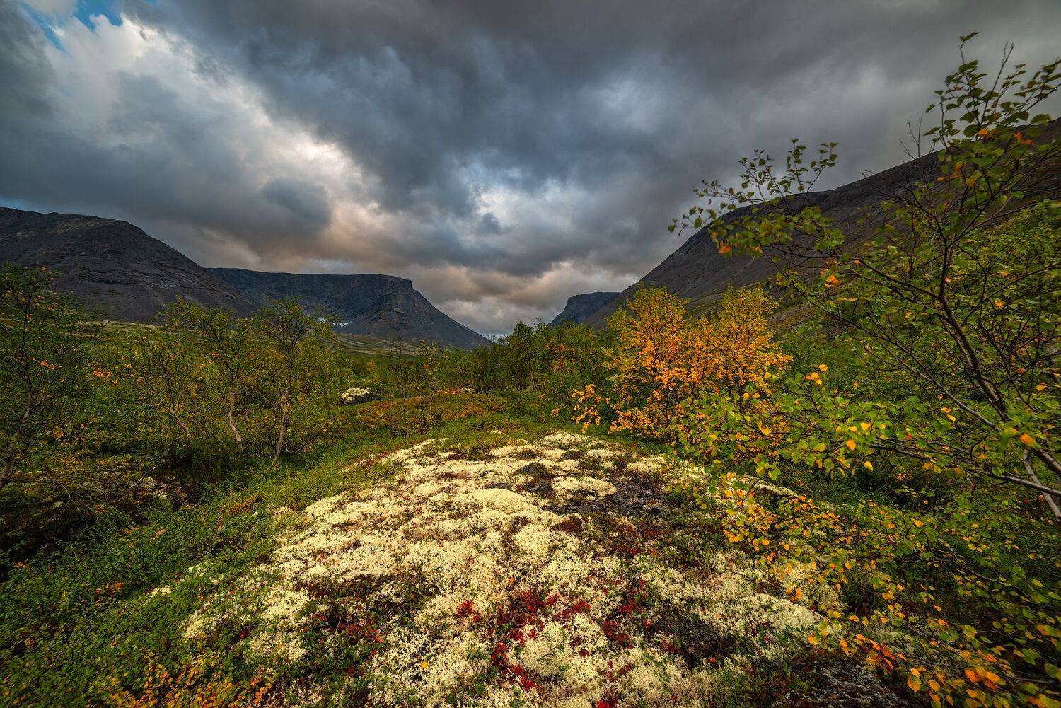 север, кольский, хибины, заполярье,, Роман Горячий
