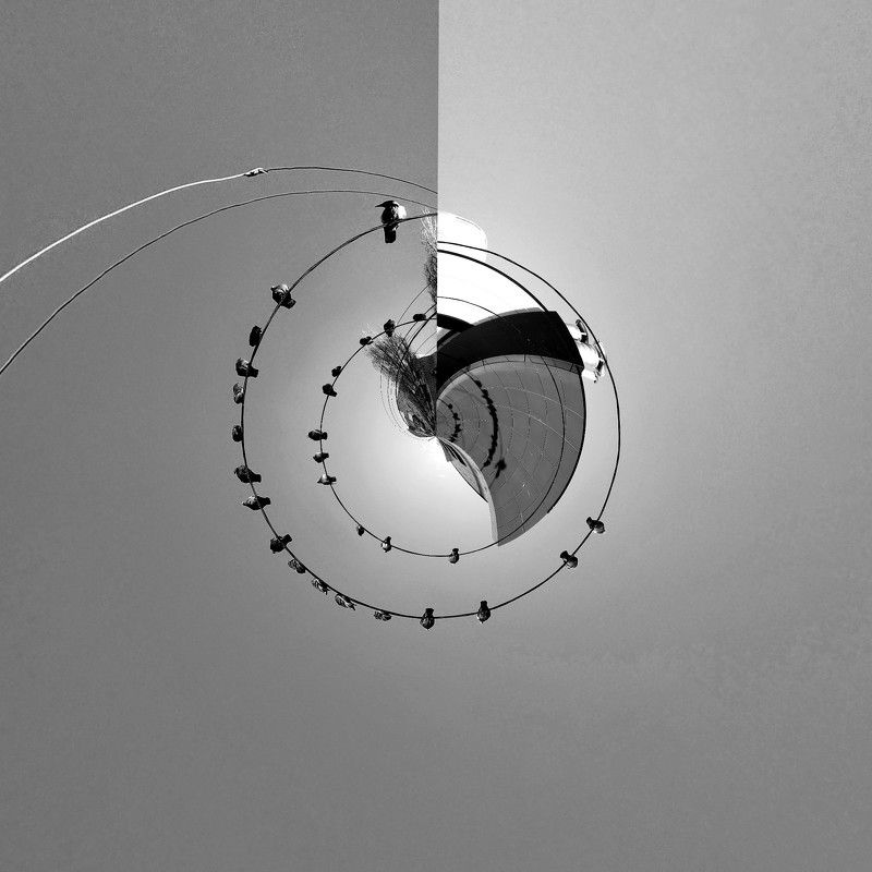 birds, abstract, abstraction, b&w, many birds Many birds фото превью