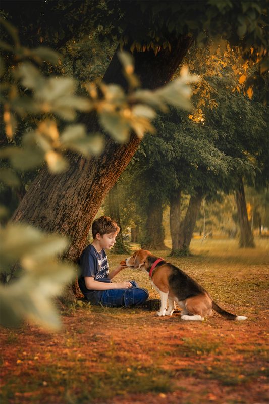 фото превью