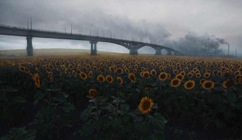 ___ фото превью