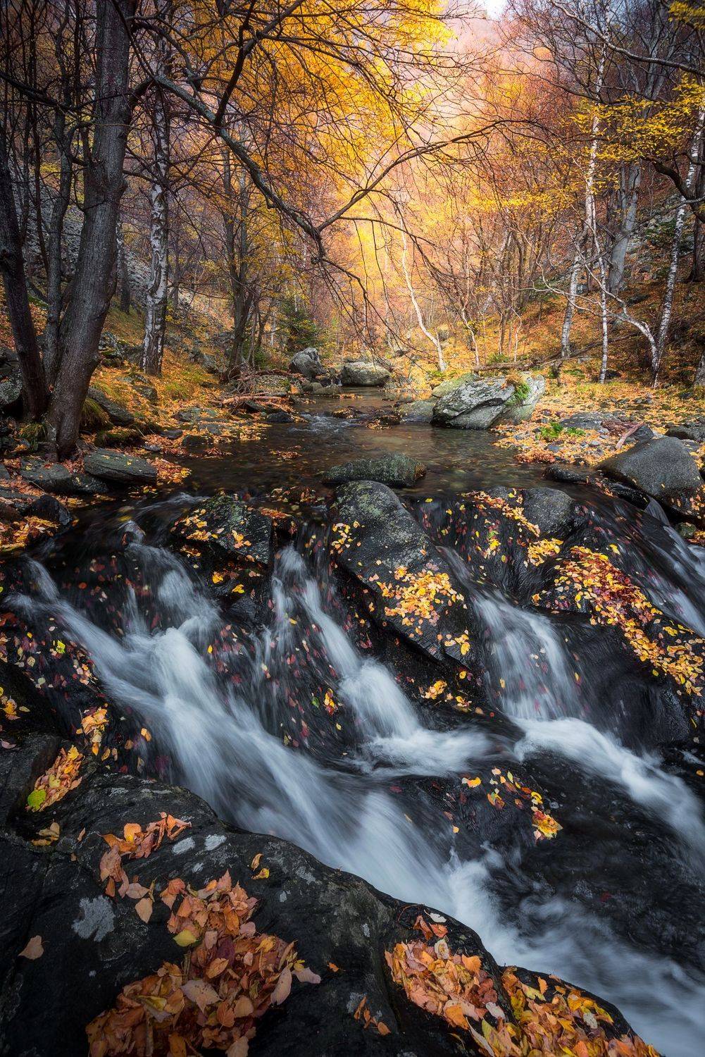 , Mariyana Atanasova - Lucero