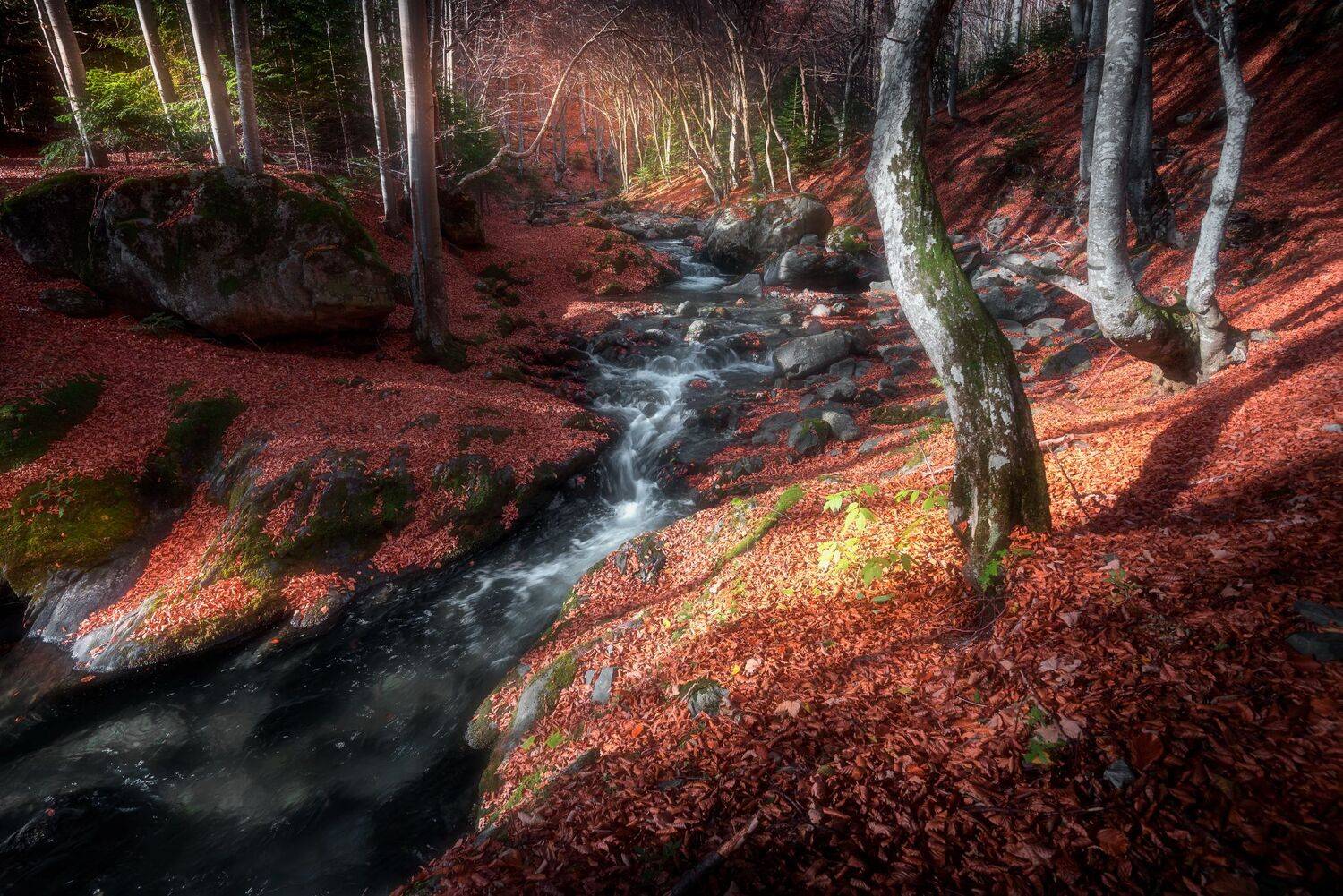 , Mariyana Atanasova - Lucero