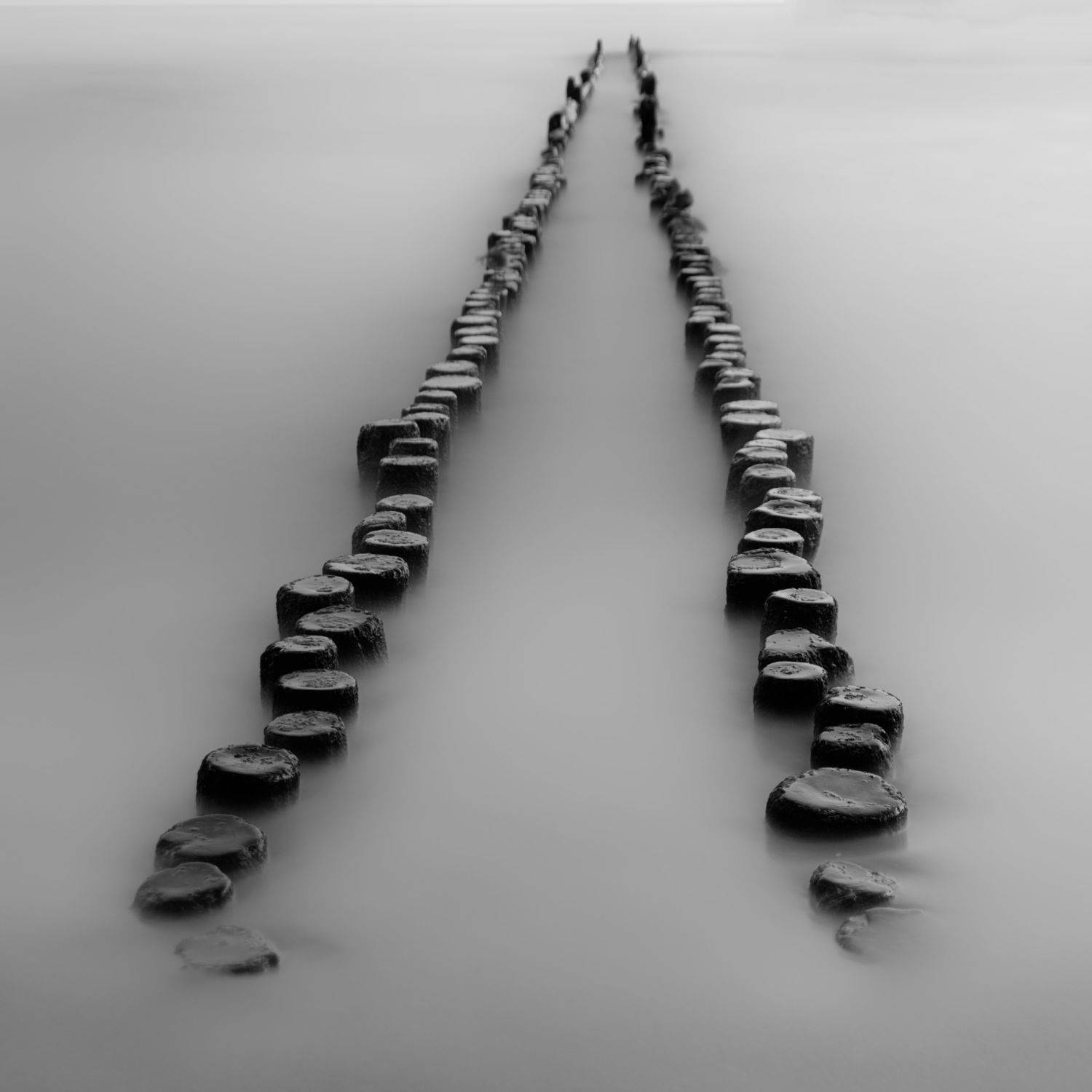 bnw, balt, vlnolamy,, Milan Samochin