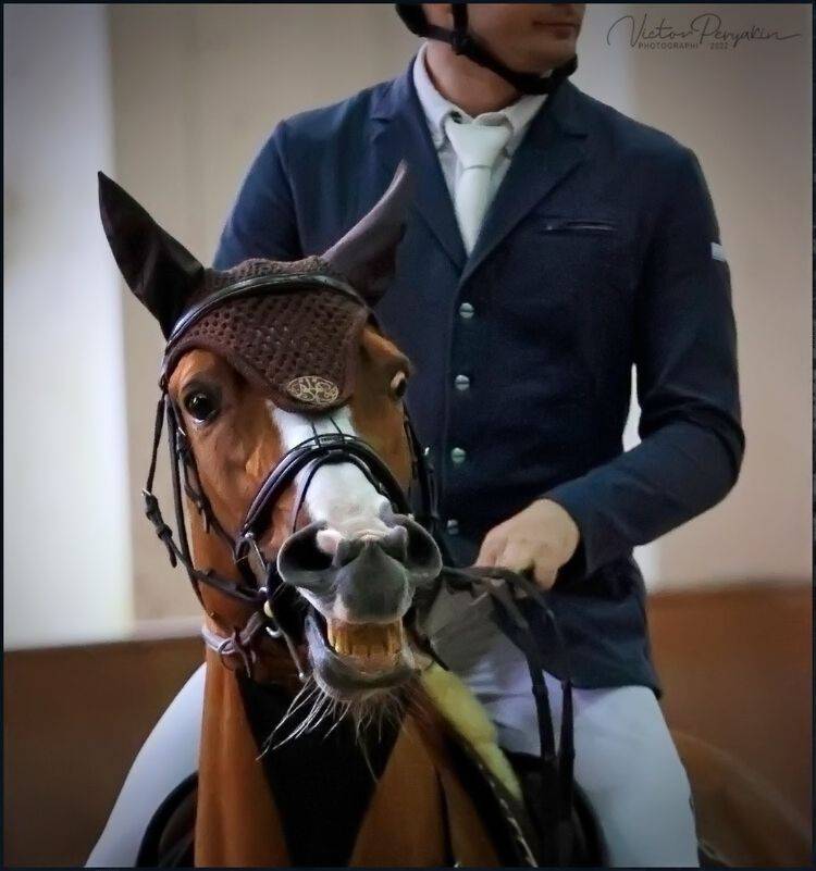 , Виктор Перякин