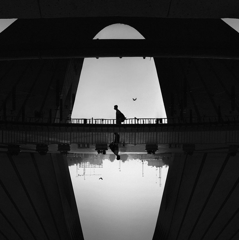 Morning Fog фото превью