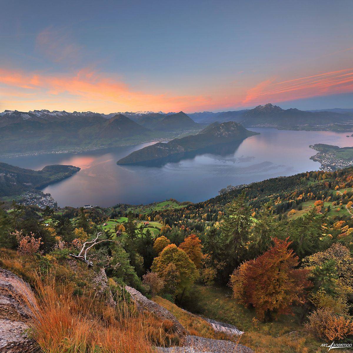 swiss, Матвеев Николай