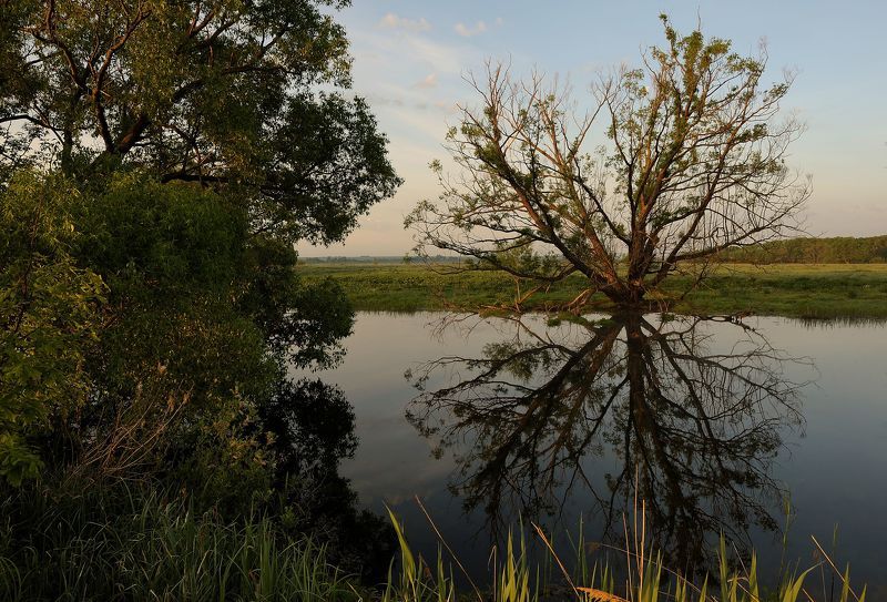 Про отражение и первые лучи... фото превью