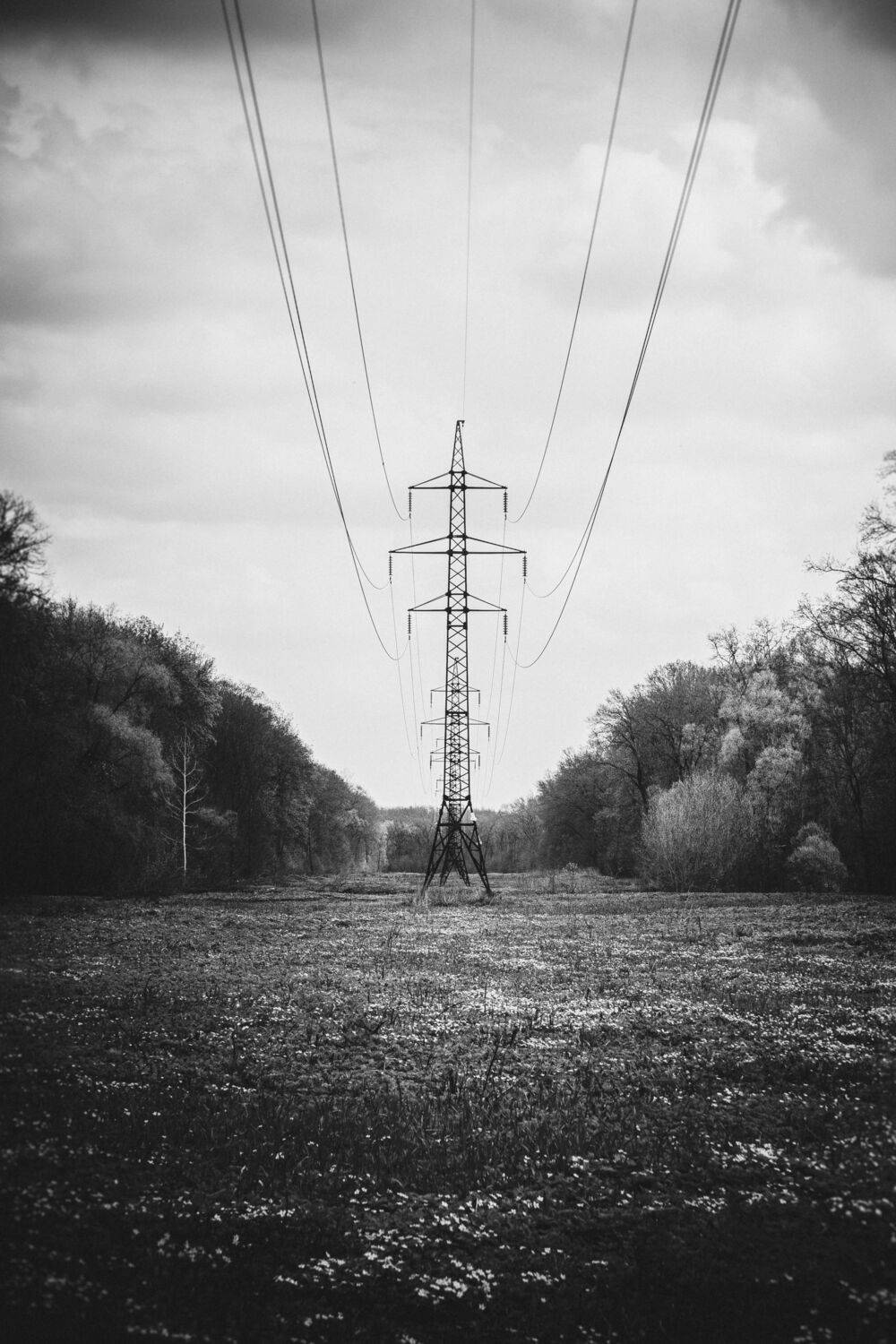 , Юрий Вертиков