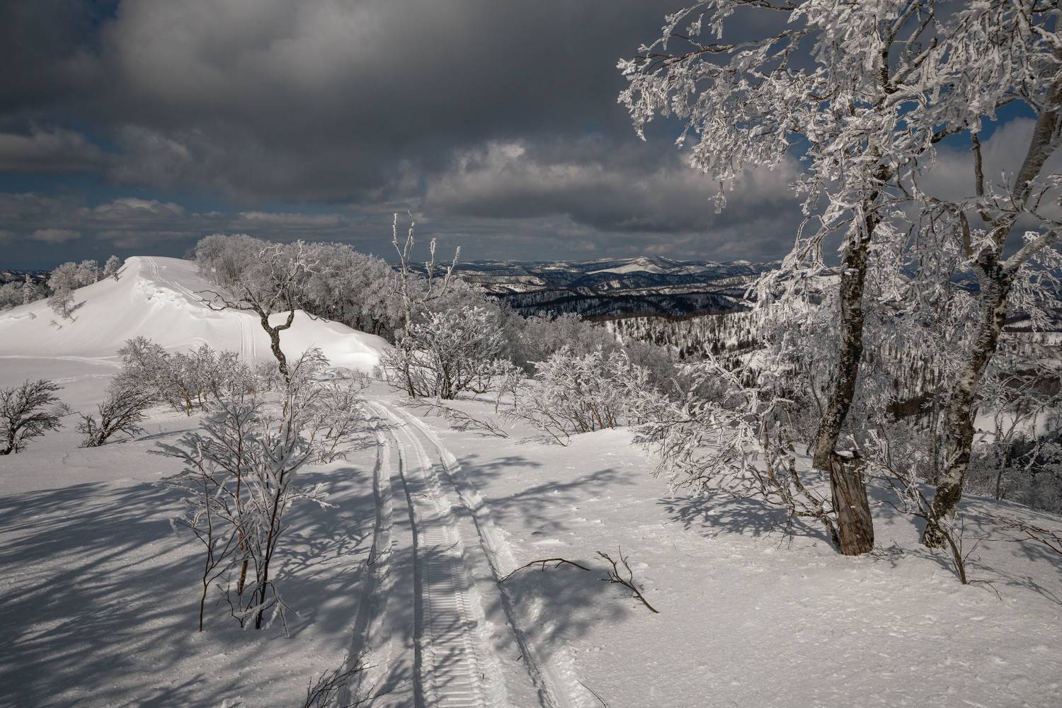, Артем Удодов
