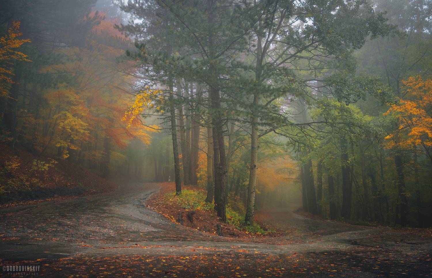 крым, дорога, ай-петри, осень, туман, Михаил Дубровинский