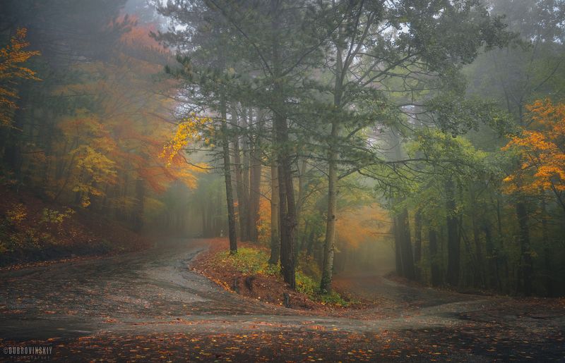 крым, дорога, ай-петри, осень, туман Дорогами осени фото превью
