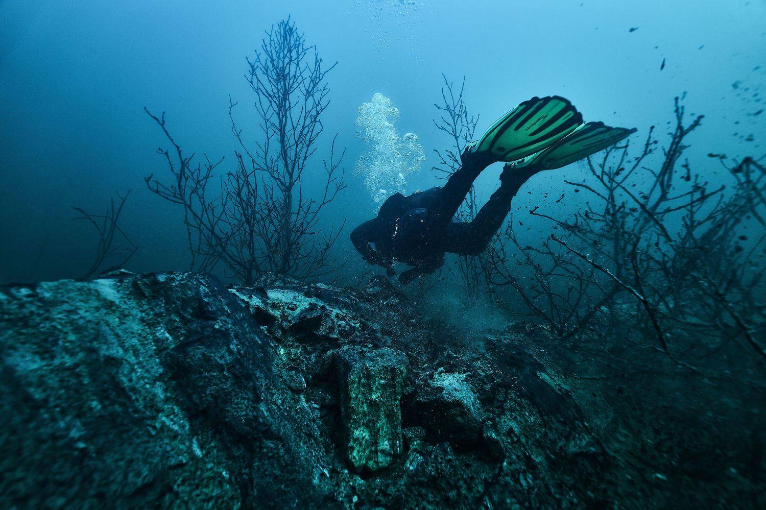 , Павел Карчевский