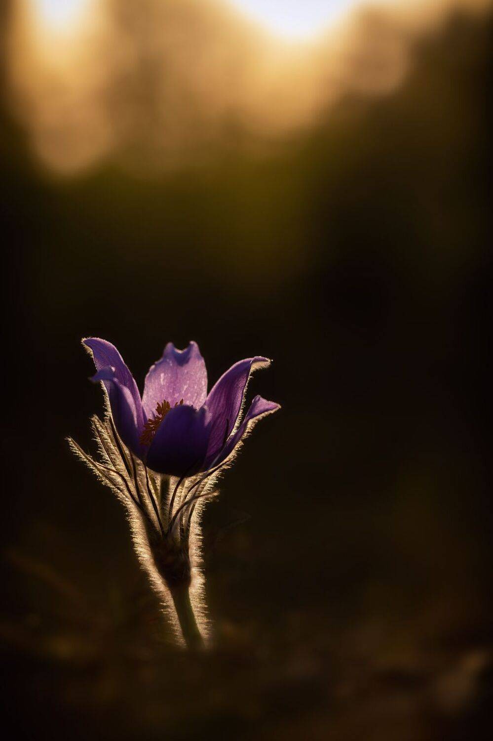 , Кузнецов Дмитрий