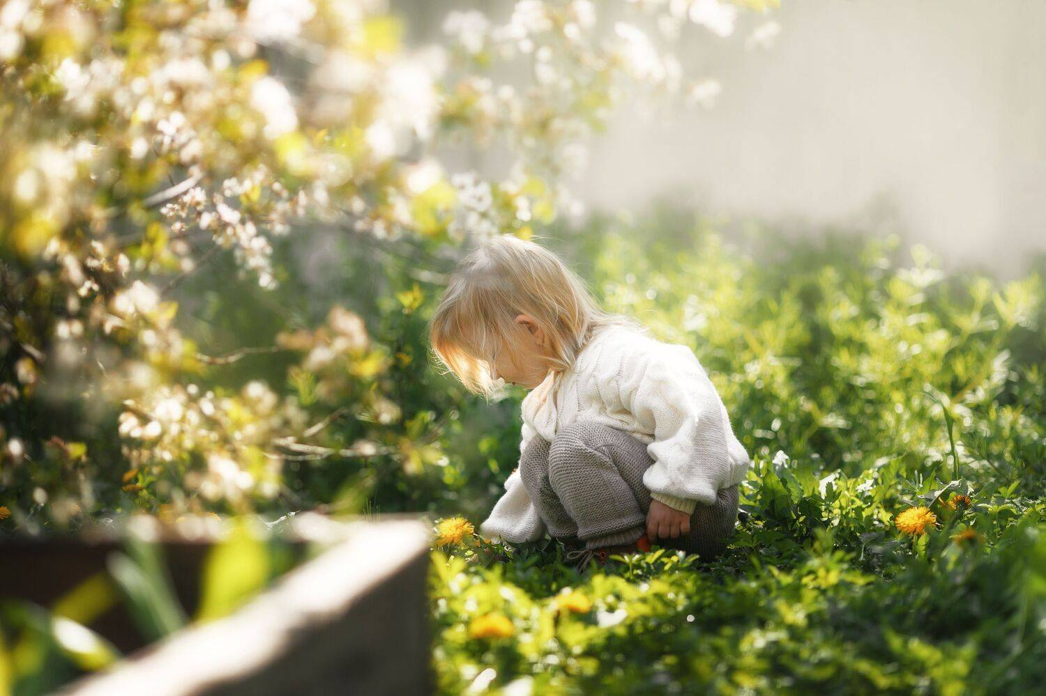 , Виктория Литвиненко